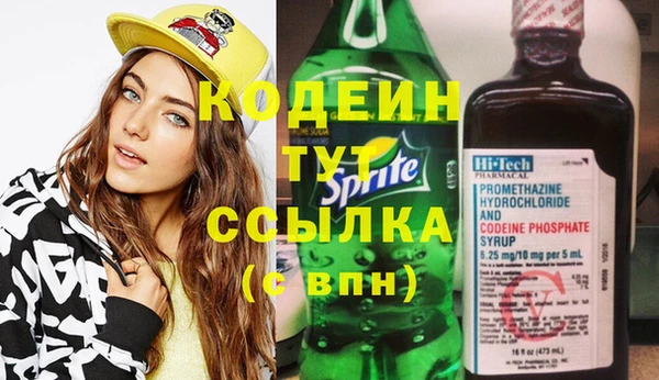 дмт Осташков