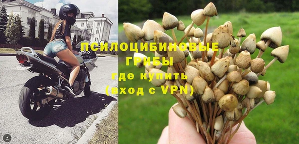 гидропоника Осинники